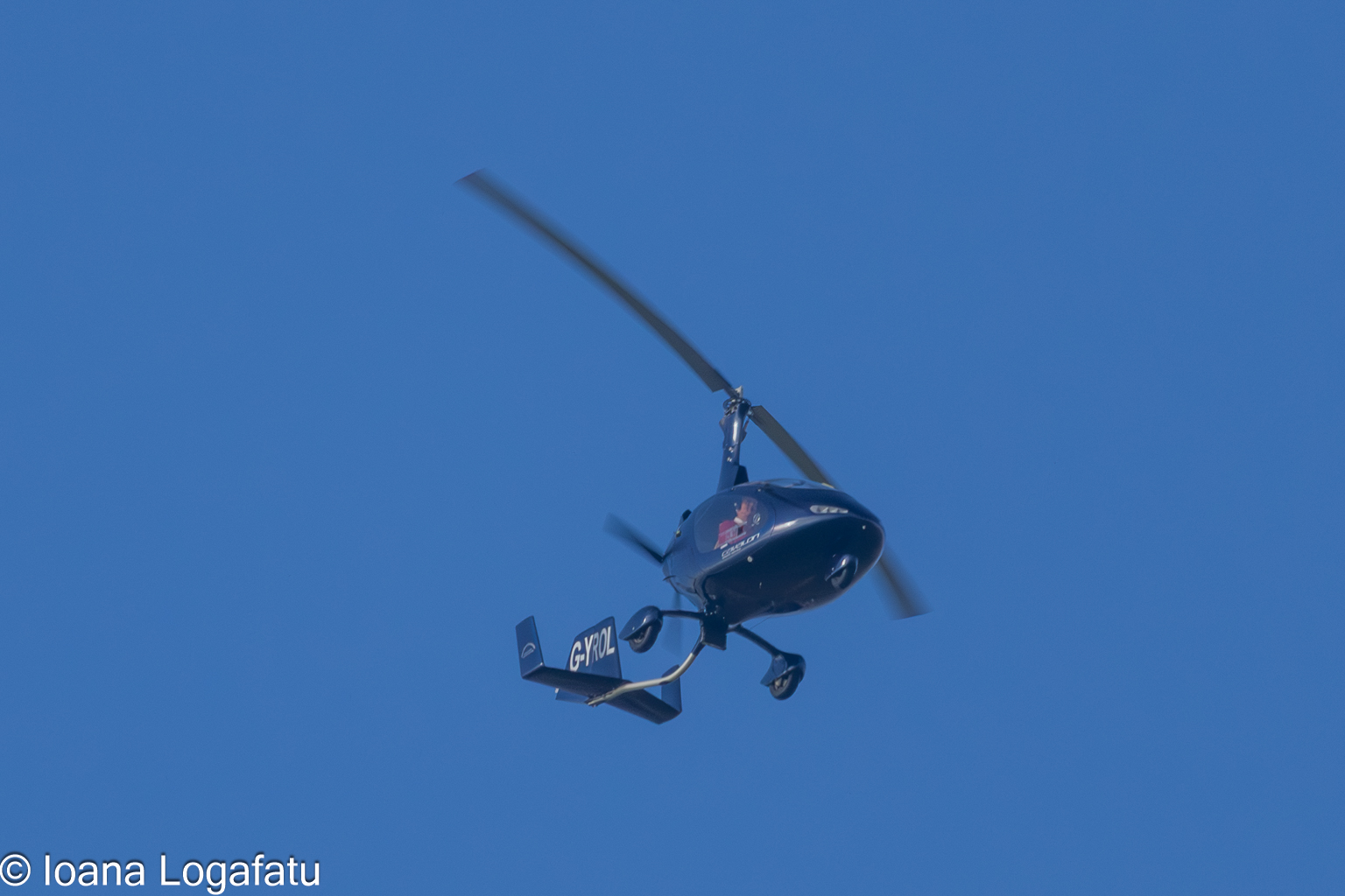 Flying high above the world in a glider